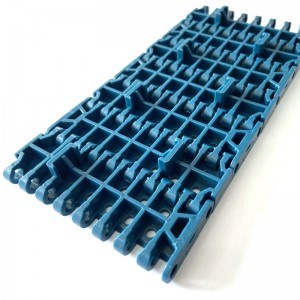 HAASBELTS Plastic Conveyor Perforated Flat Top 1000 Molded to Width With Positrack