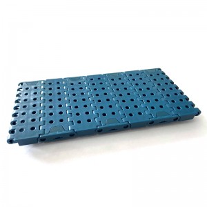 HAASBELTS Plastic Conveyor Perforated Flat Top 1000 Molded to Width With Positrack