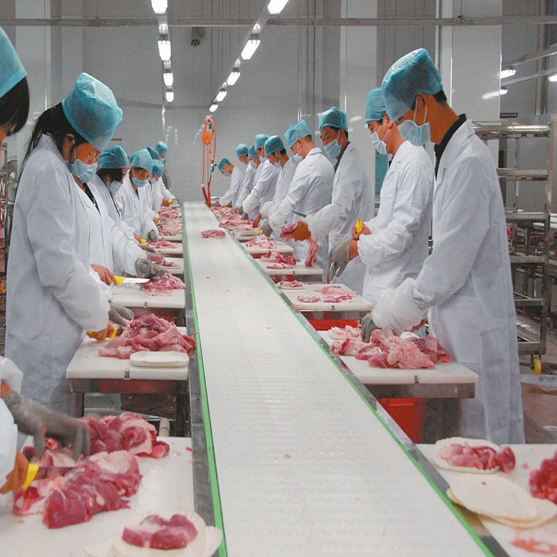 The Application of Modular Plastic Mesh Belt in the Meat Products Industry