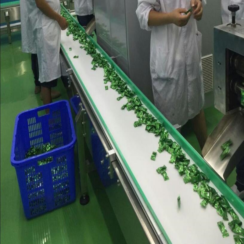 The Application of Plastic Mesh Belt in the Candy Manufacturing Industry