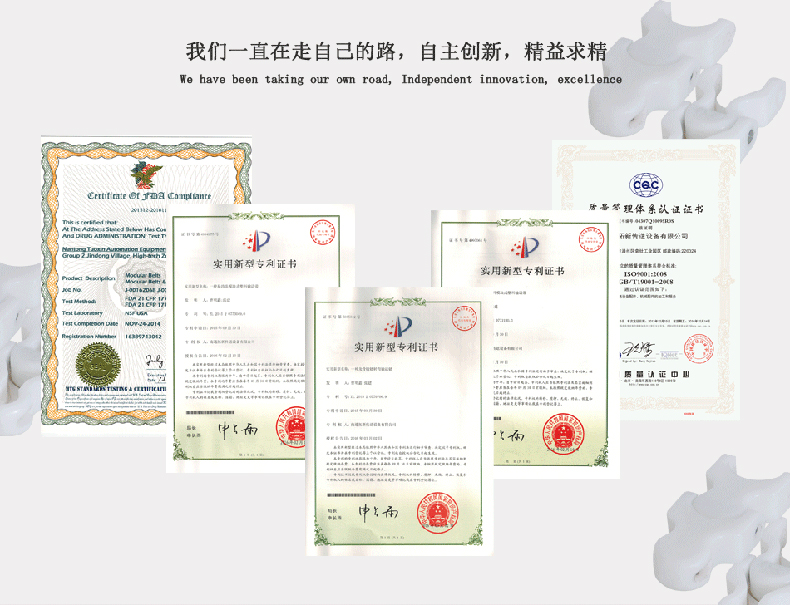 Polyethylene WearStrip Chain Guide Components (9)