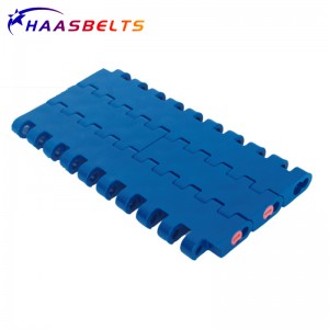 HAASBELTS Plastic Modular Belt Flat Top 1005 Molded To Width With Positrack