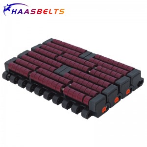 HAASBELTS Plastic Modular Belt Flat Top 1005 Molded To Width With Positrack