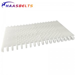 HAASBELTS Conveyor Flat Top 800 Series Plastic Modular Belt